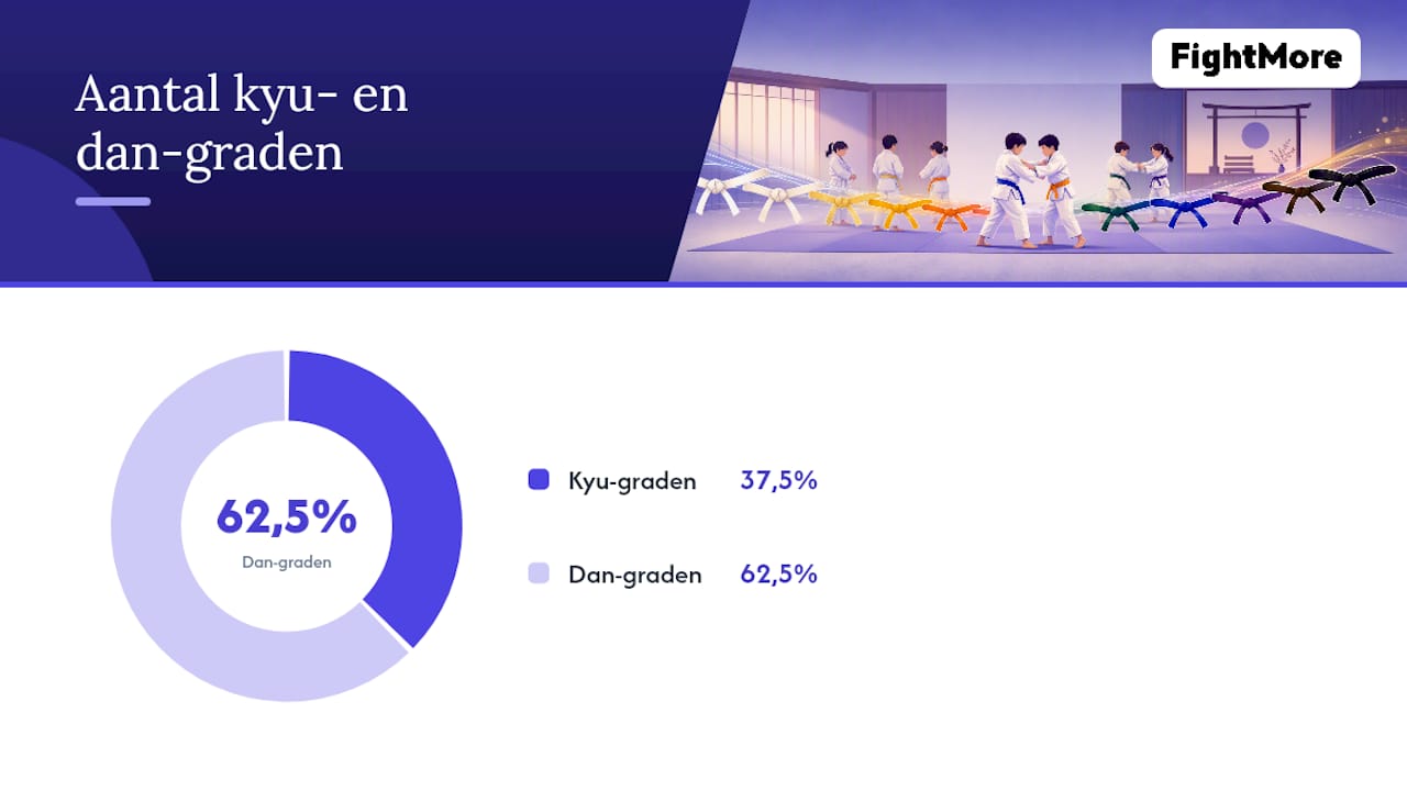 Overzicht van de volgorde en kleuren van judobanden