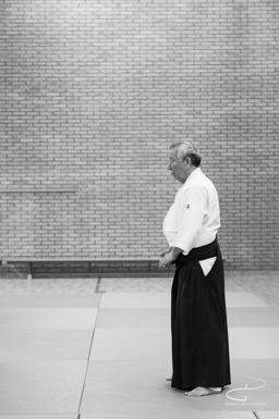 Aikidoschool Amstelveen — Amstelveen