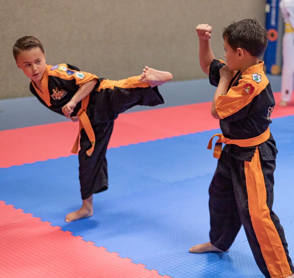 Taekwon-Do Academie Gelderland (TAG)