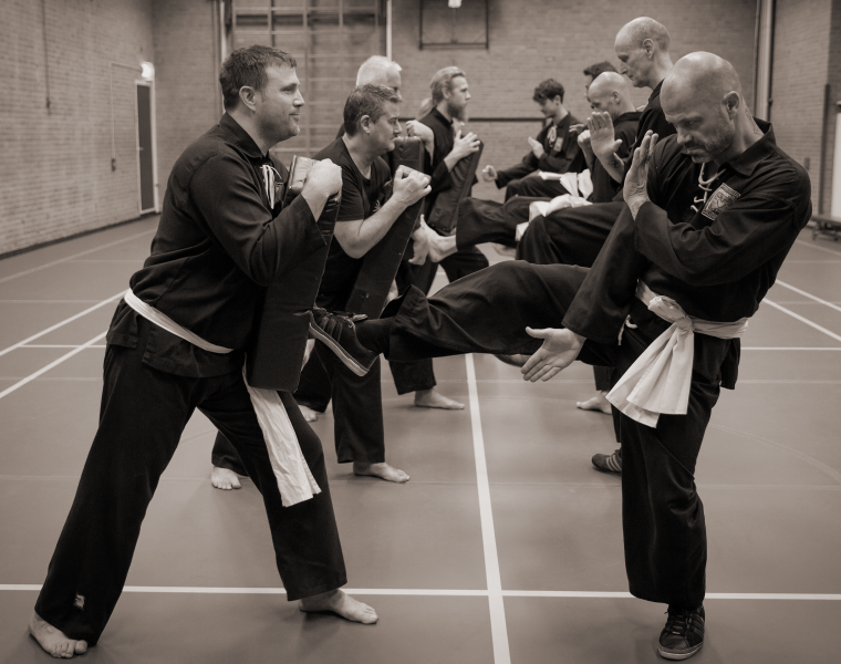 Pencak Silat vereniging Sehati