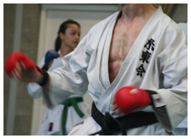 Karate & Kobudo Delft