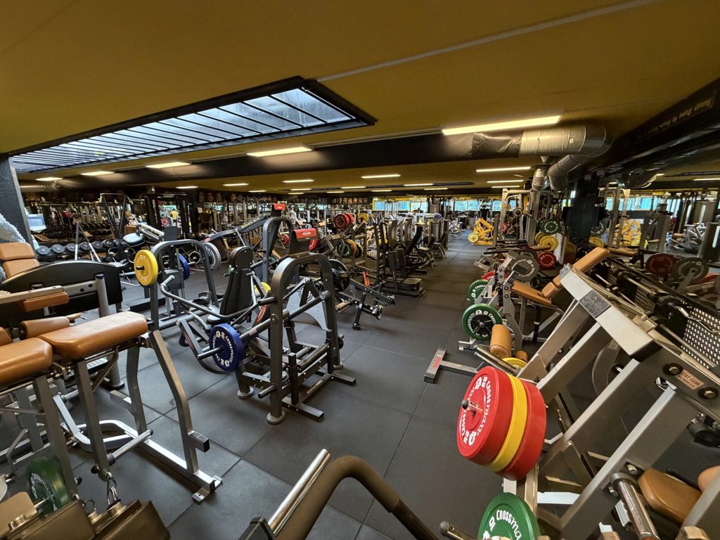 Mike's Gym