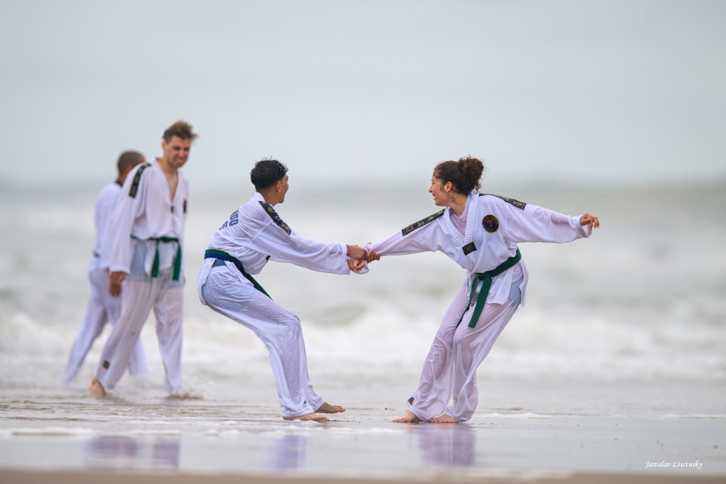 José’s Taekwondo Academy