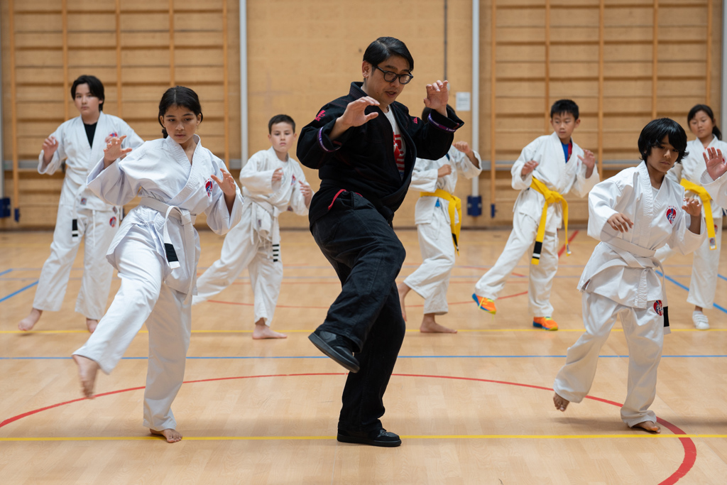 UKEN2 Kung Fu