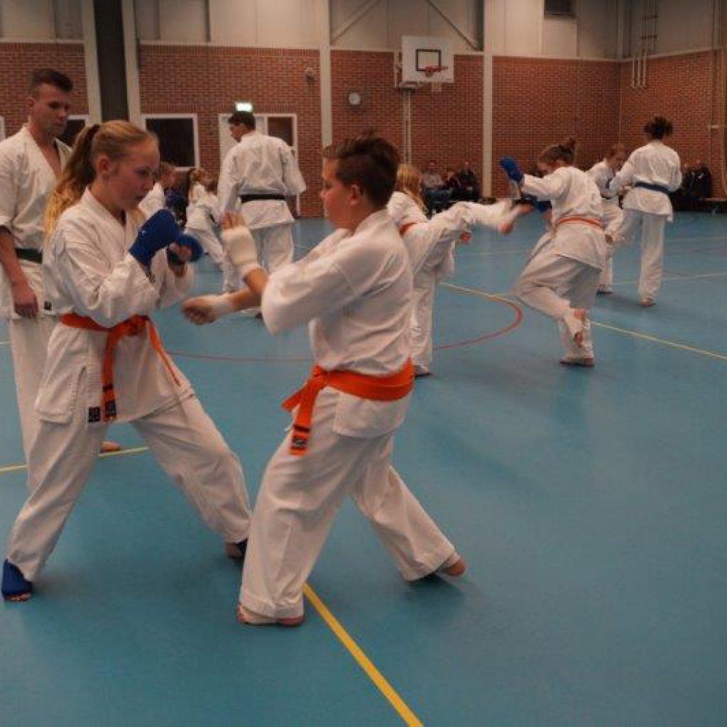 Kaizen Dojo