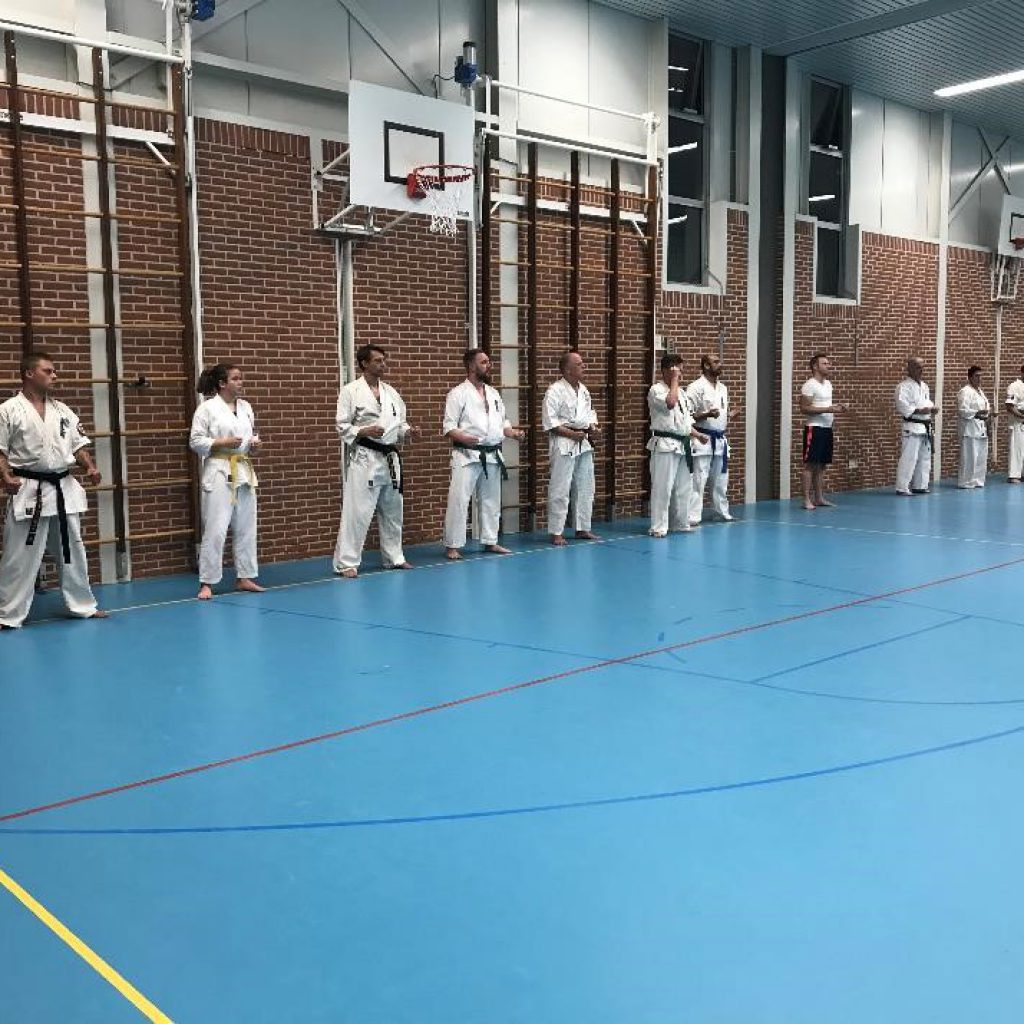 Kaizen Dojo