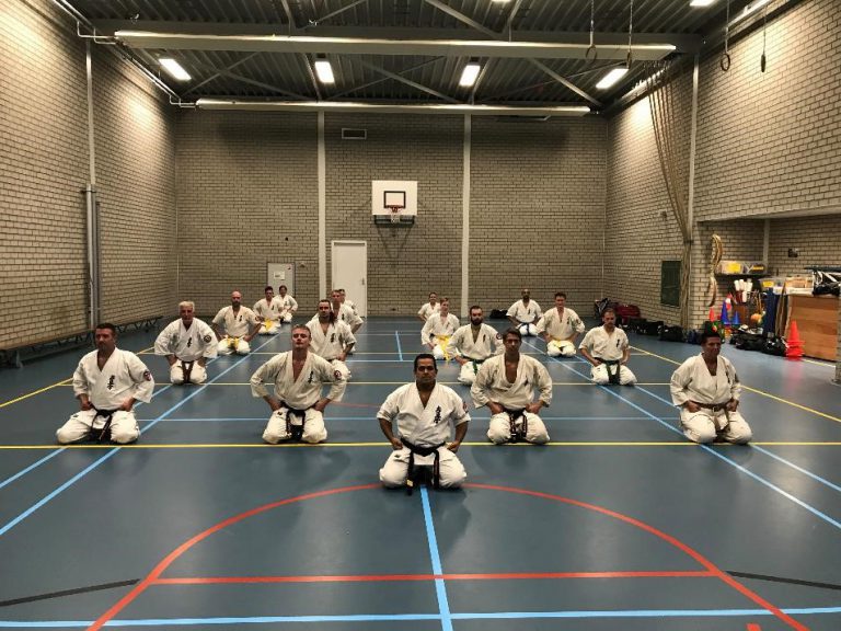 Kaizen Dojo