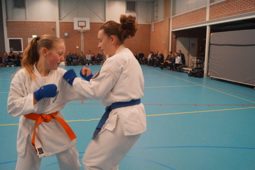 Kaizen Dojo — Bergen op Zoom