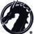 Hwa-Rang DragonGym Haarlem logo