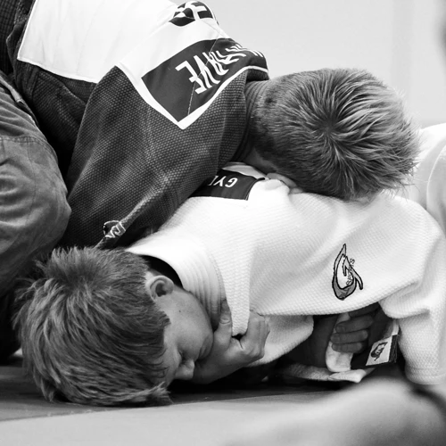 Nippon Judo