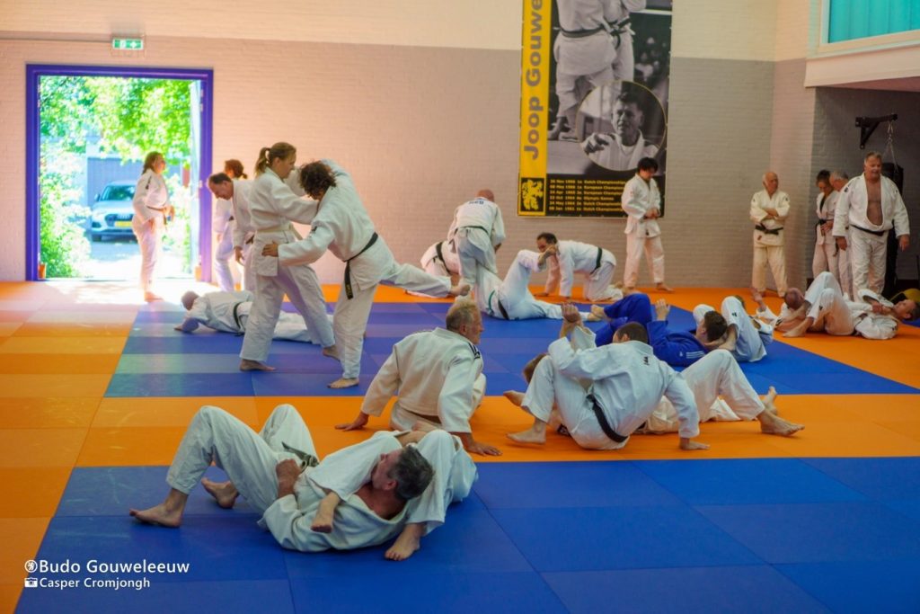Budo Gouweleeuw