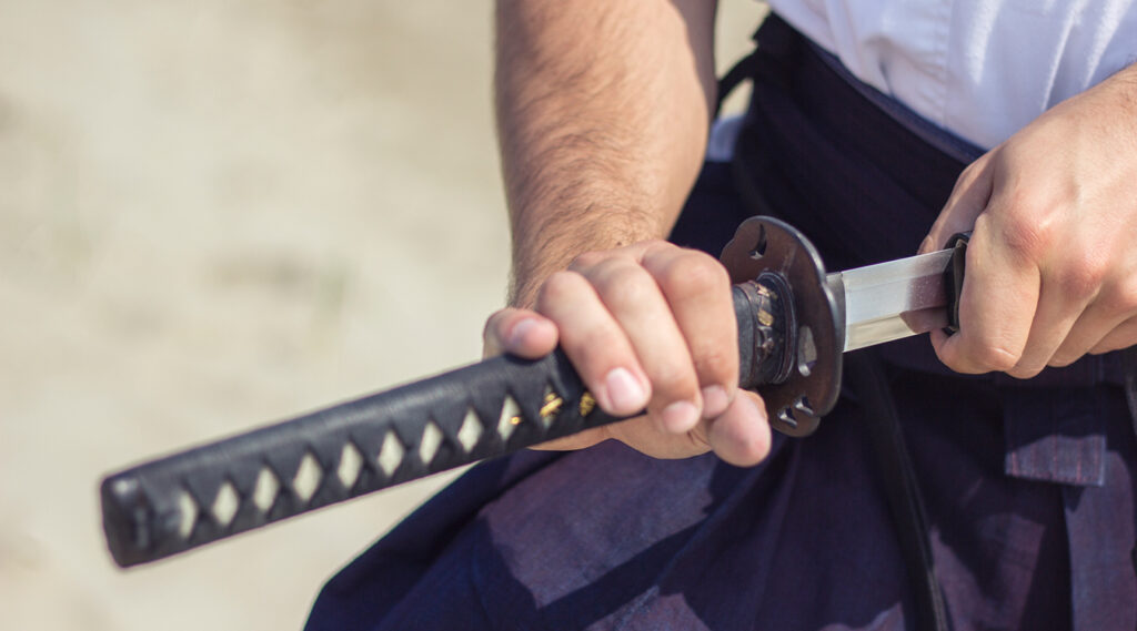 WaShinKan Budojo