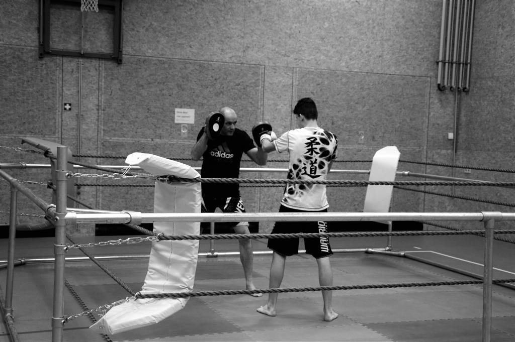 Martial-arts school Bodhi Dharma