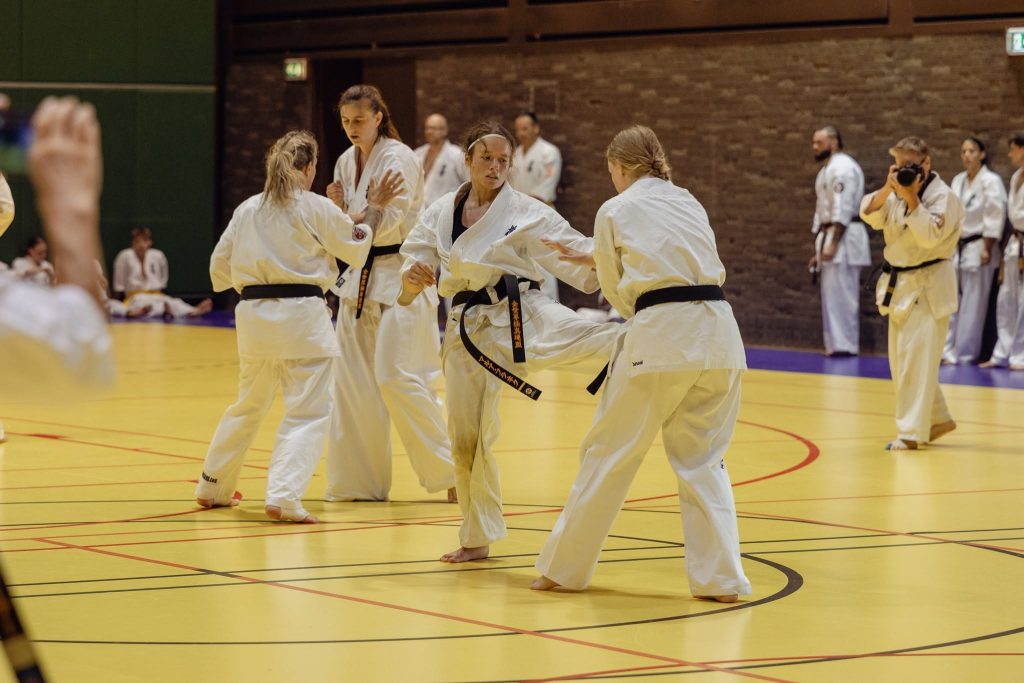 Enso – Dojo Kyokushin Karate N.K.K.O.