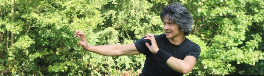 Kung Fu school Chang Ho