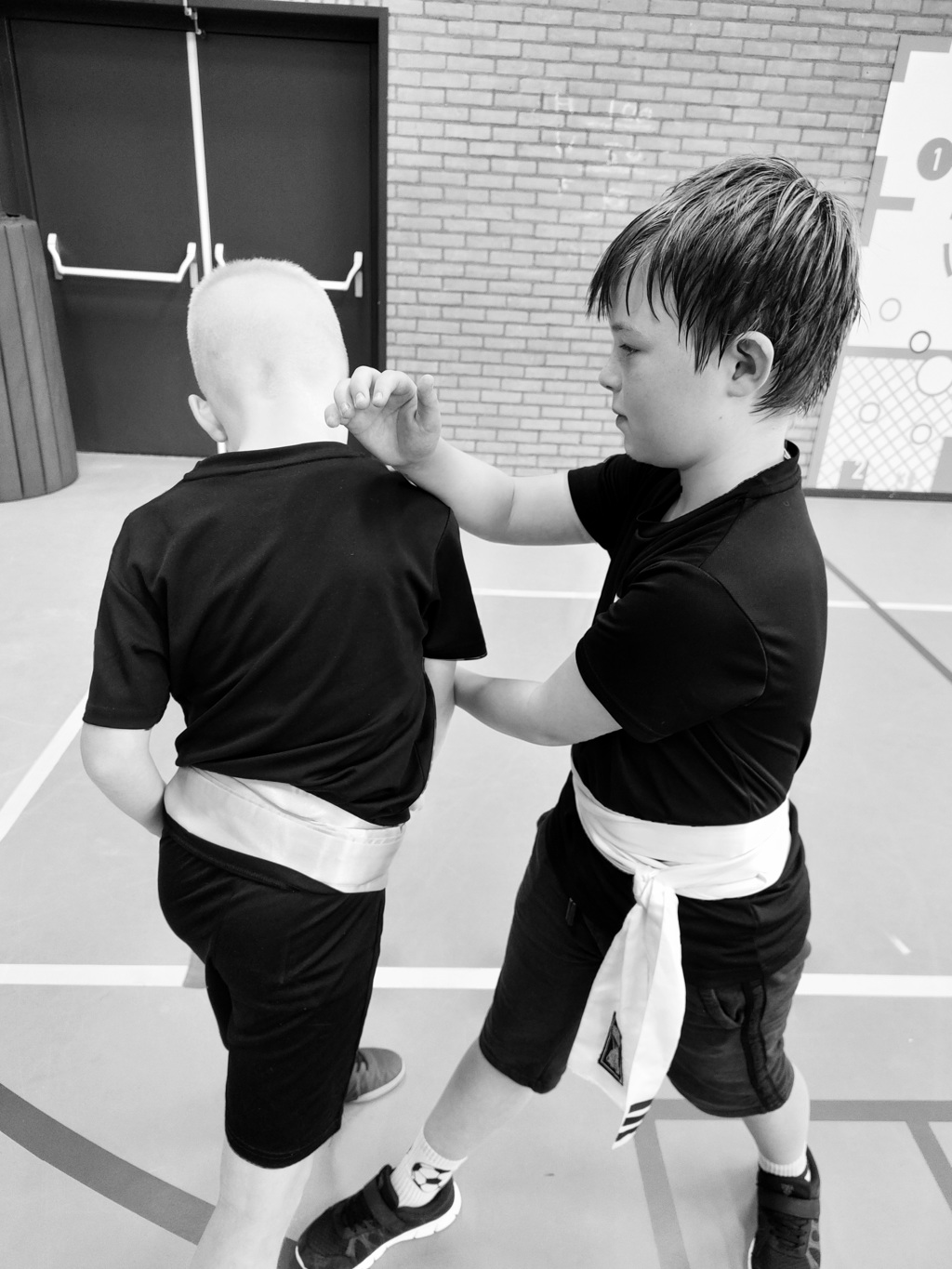 The Kung Fu Company