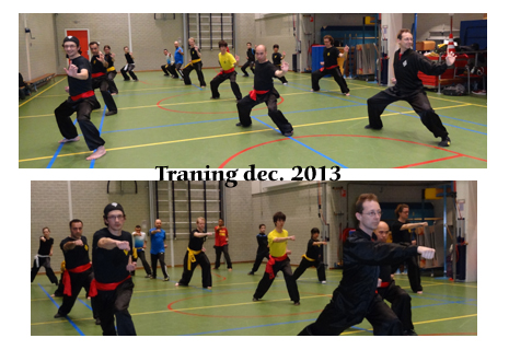 Hung Ga Kung Fu Utrecht