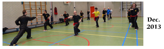 Hung Ga Kung Fu Utrecht