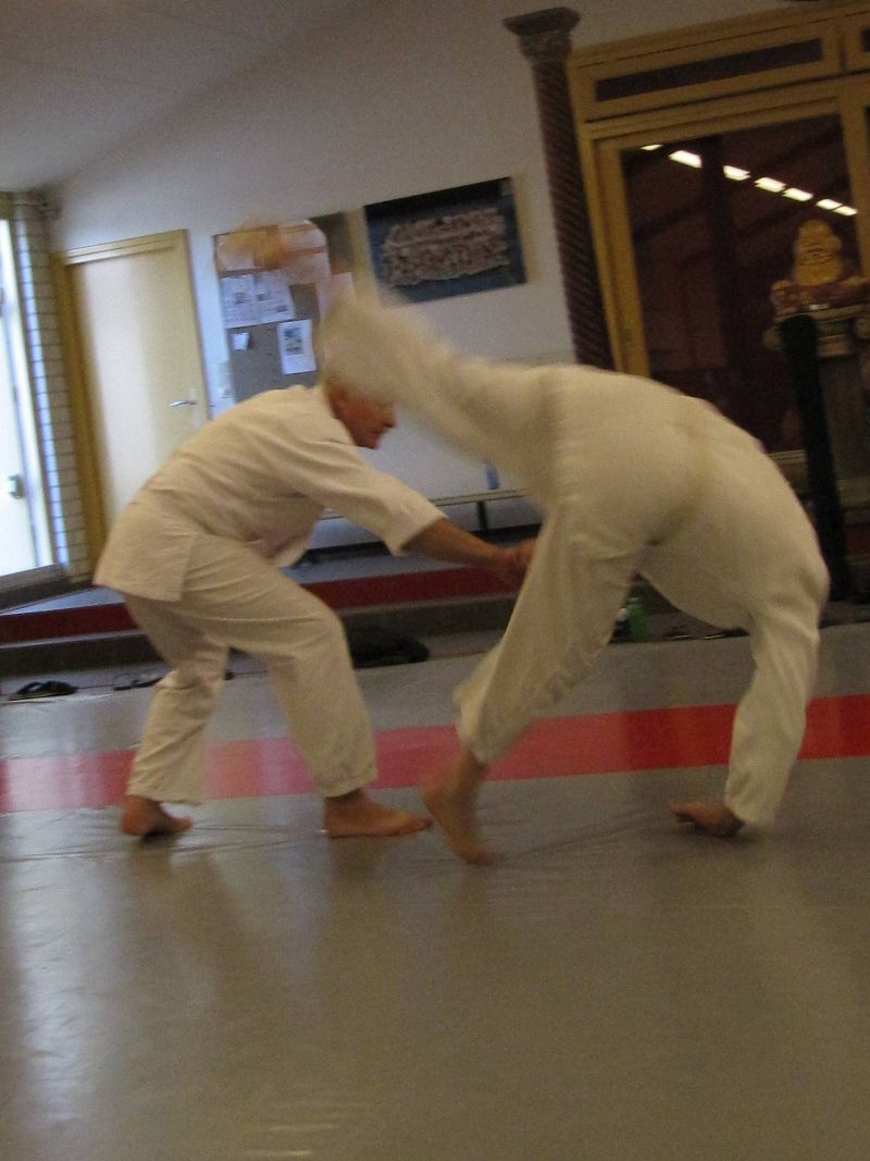 Stichting Aikikai Aikido Geldrop
