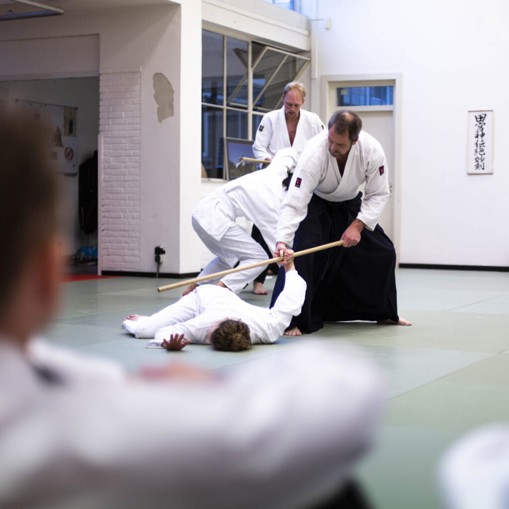 Aikido Koshinkai
