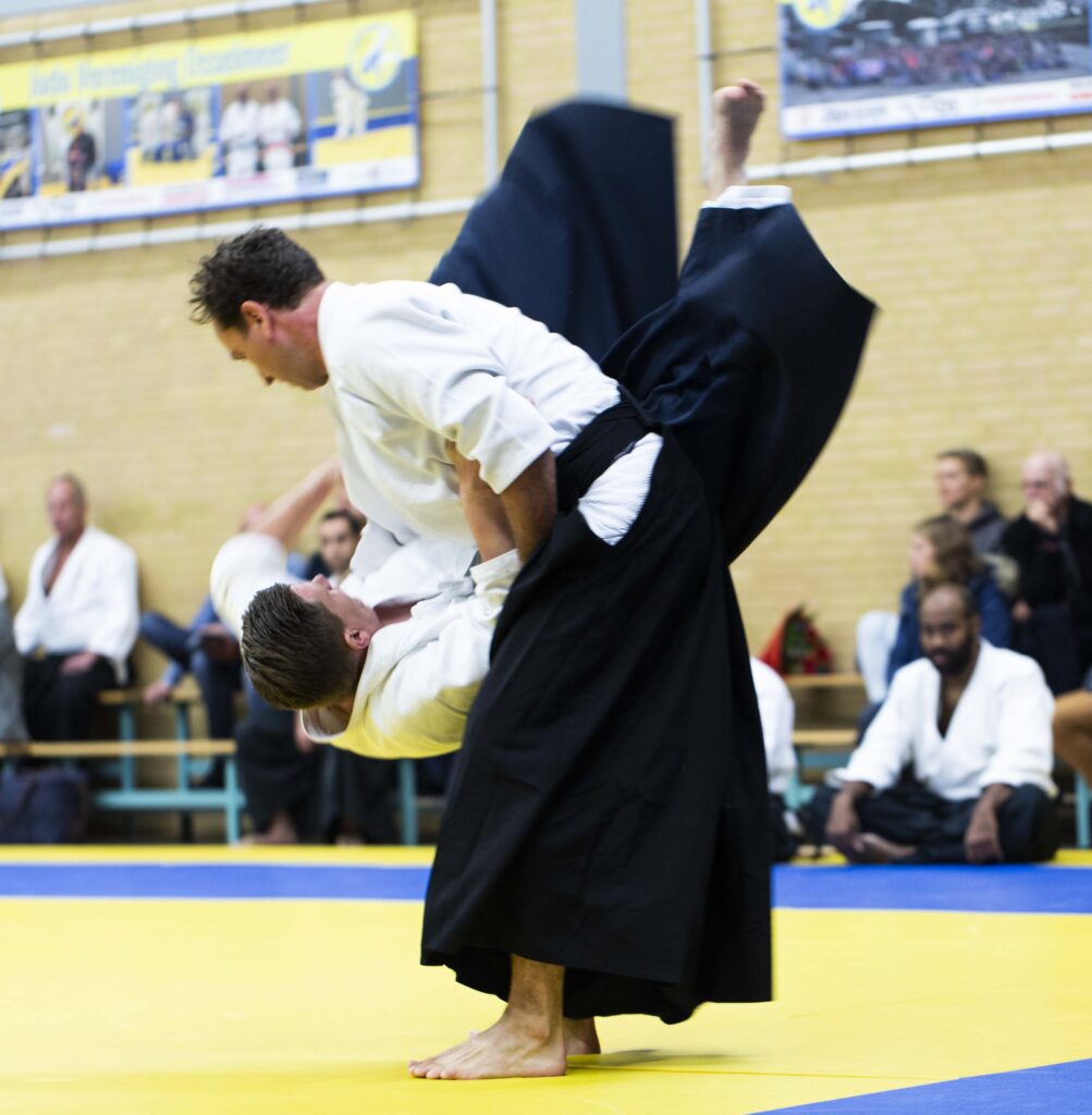 Aikido Koshinkai