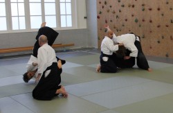 Aikikai Aikido Amsterdam — Amsterdam
