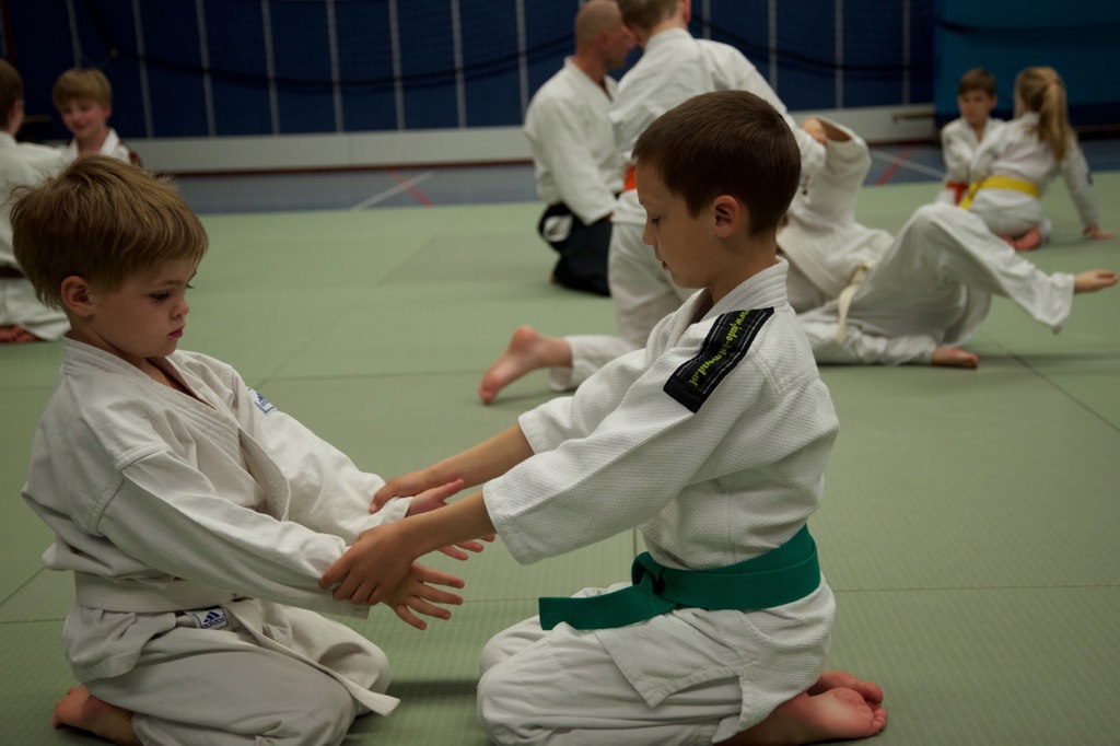 Aikido Yuishinkai Alkmaar