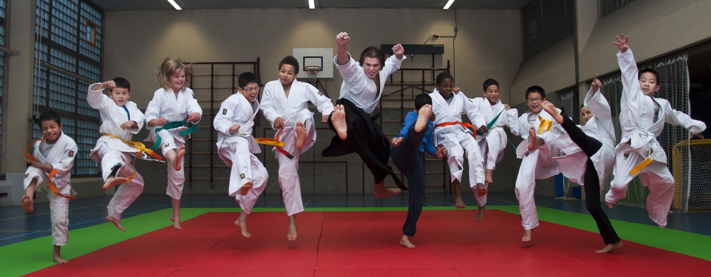 Aikido Vereniging Bushi Dojo
