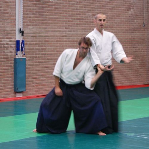 Stichting Iwa-ryu aikido