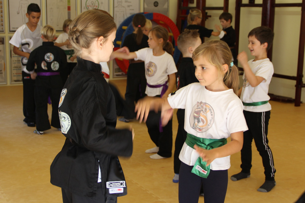 Schools of Kung Fu Österreich