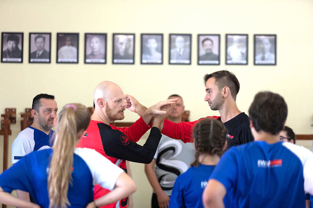 Schools of Kung Fu Österreich