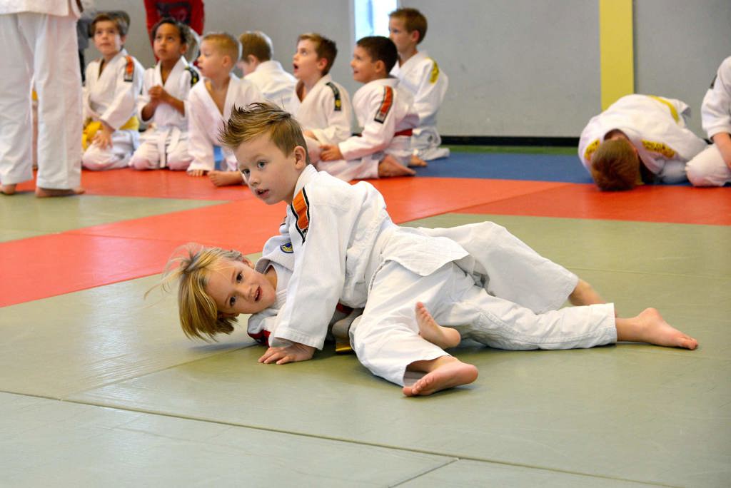 Judoclub Nobel