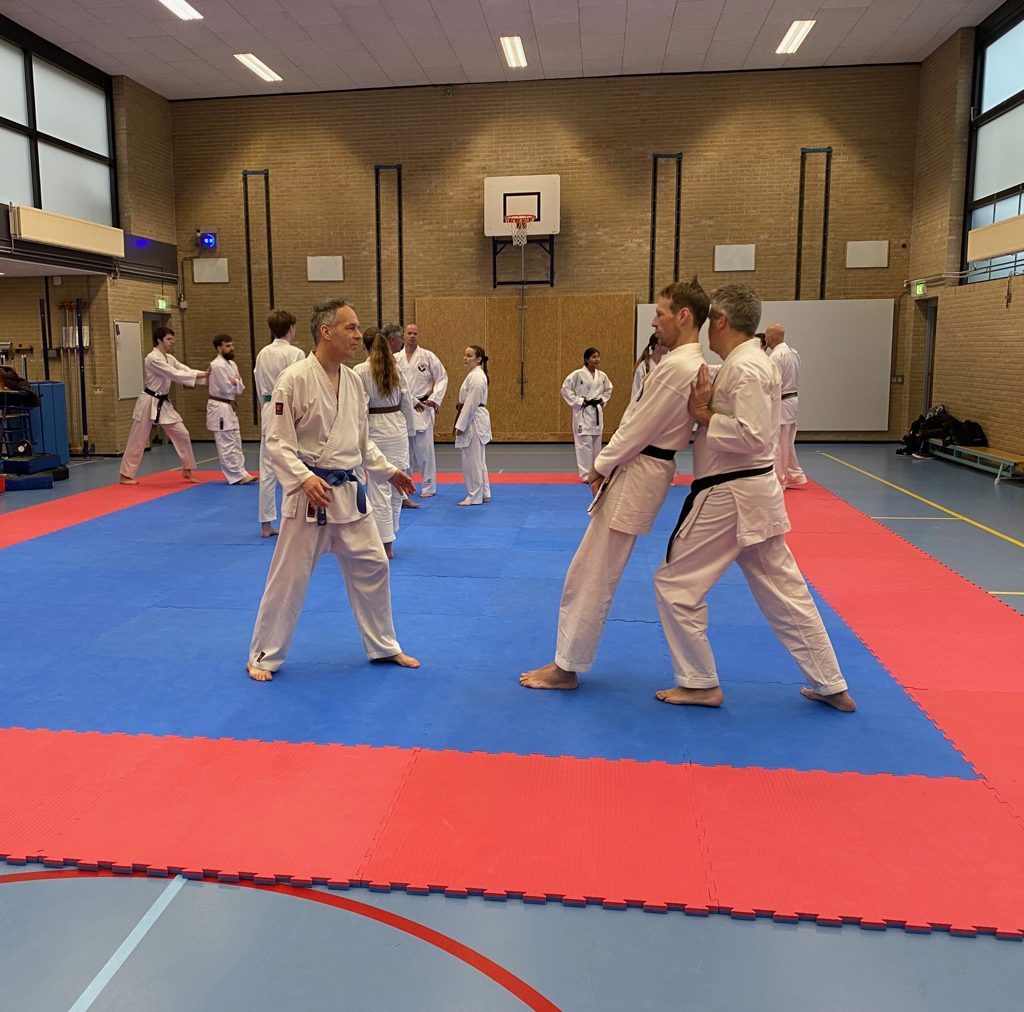 Karate Instituut Wairando