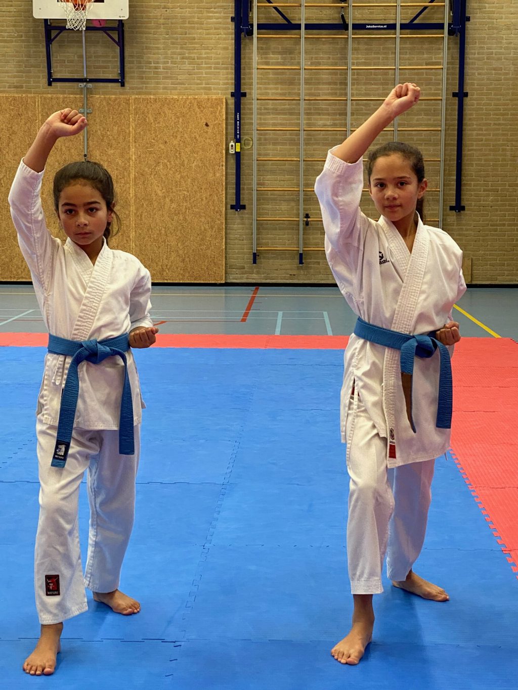 Karate Instituut Wairando