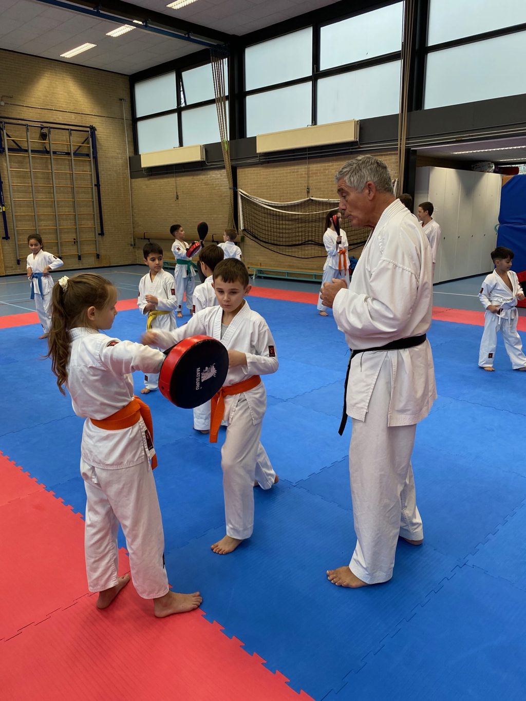 Karate Instituut Wairando
