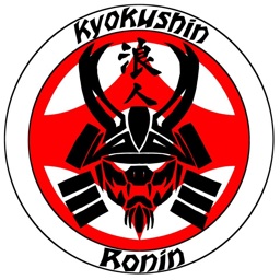 Kyokushin Ronin — Delft