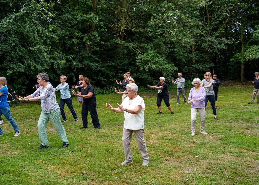 Healing Tai Chi