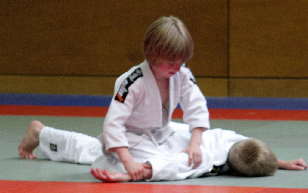 Aikido Shin-Ki-Tai