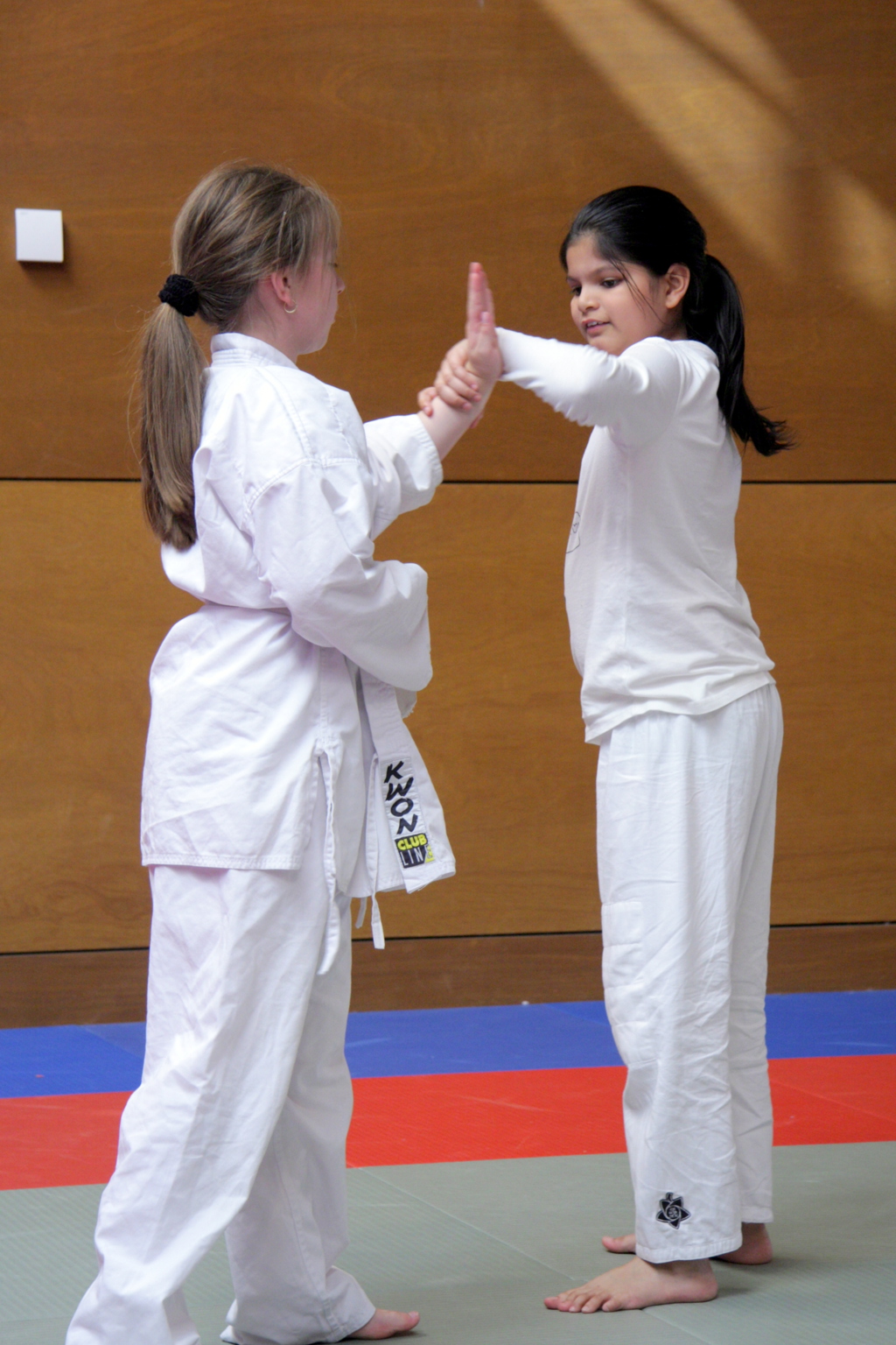 Aikido Shin-Ki-Tai