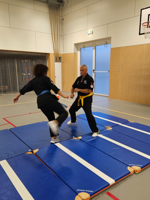 Koguryo Hapkido