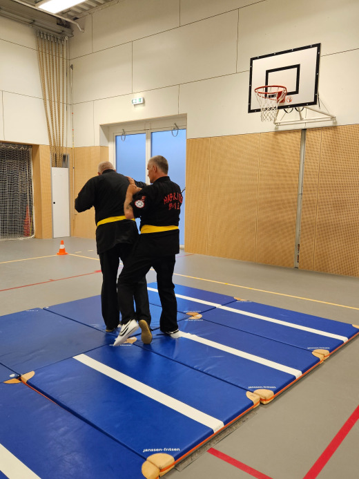 Koguryo Hapkido