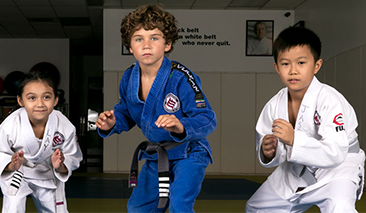 Jiu Jitsu Foundation