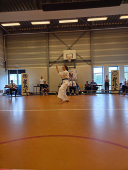 Katsu Heiwa Dojo — Barendrecht