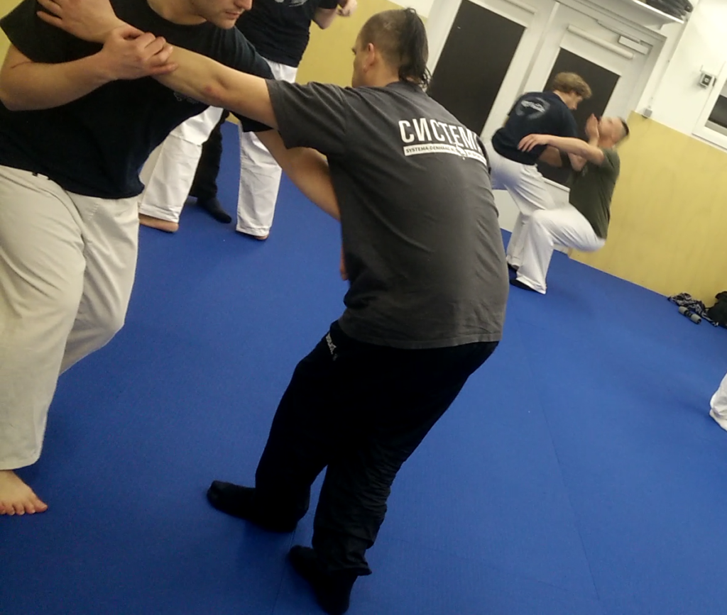 Systema Deventer