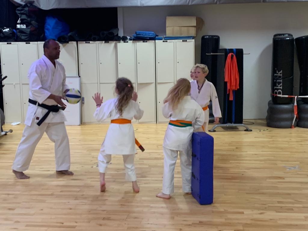 Karate-do Hyõshi