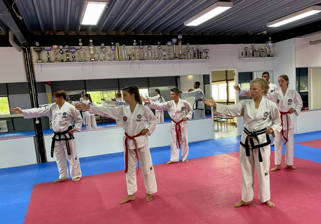 Taekwon-Do IN NAE DO KWAN