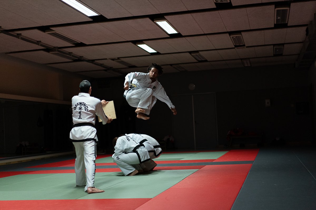 Taekwon-Do IN NAE DO KWAN