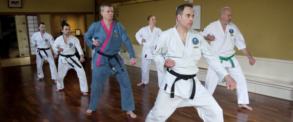 Karate-Do International Nederland
