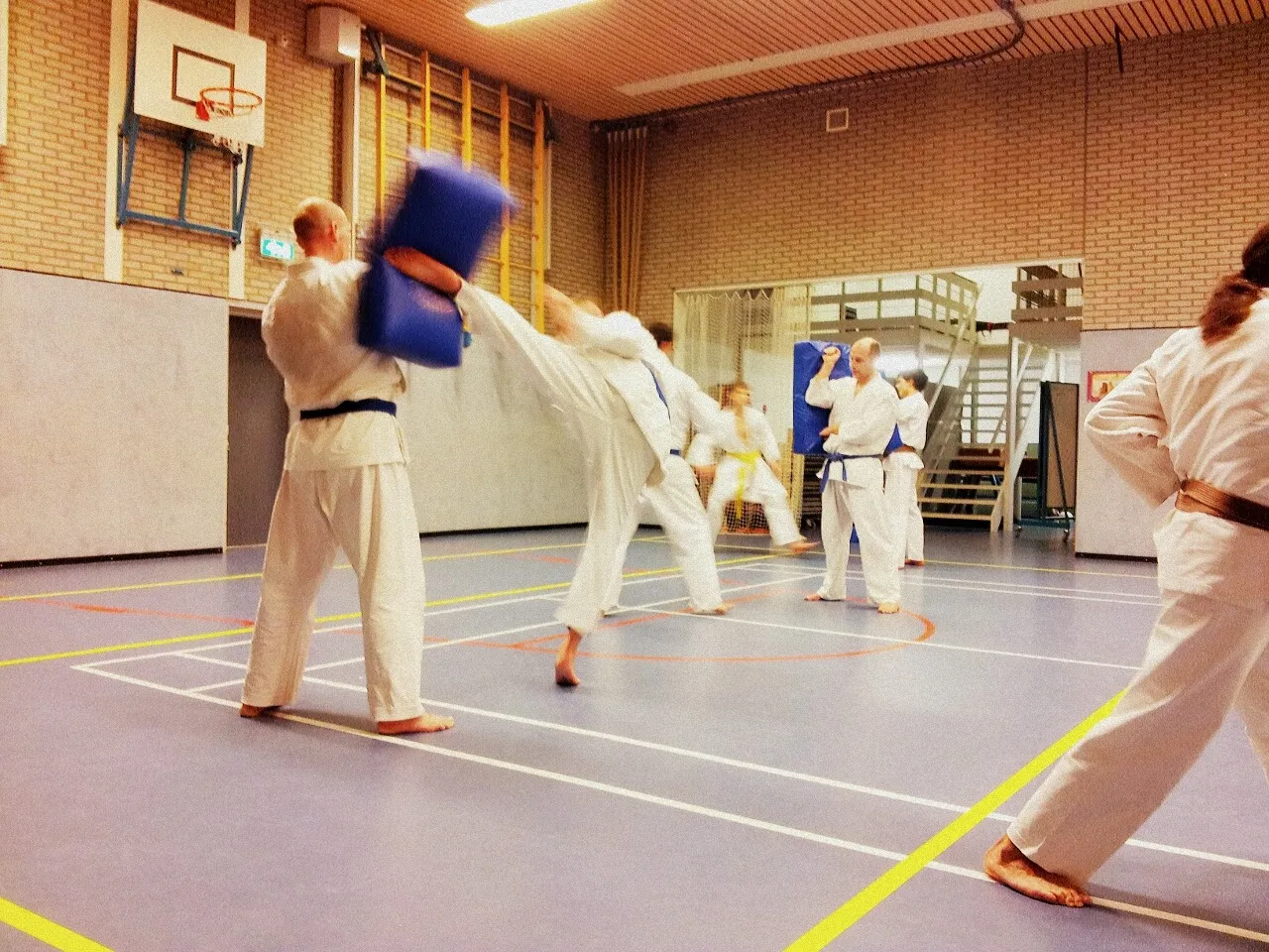 Karate-Do Goshin