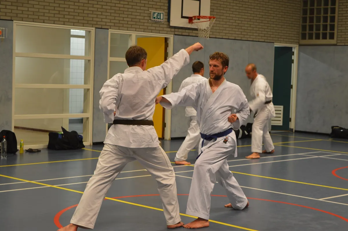 Karate-Do Goshin